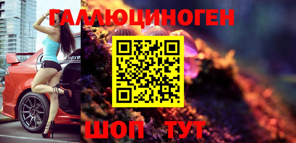 Псилоцибиновые грибы Cubensis Добрянка